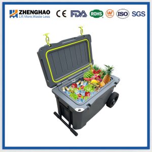 Lightweight Plastic Insulated Storage Box for Cold Chain 1